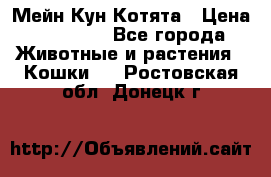 Мейн Кун Котята › Цена ­ 15 000 - Все города Животные и растения » Кошки   . Ростовская обл.,Донецк г.